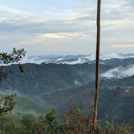 Nyungwe Village Kitabi Esterno foto