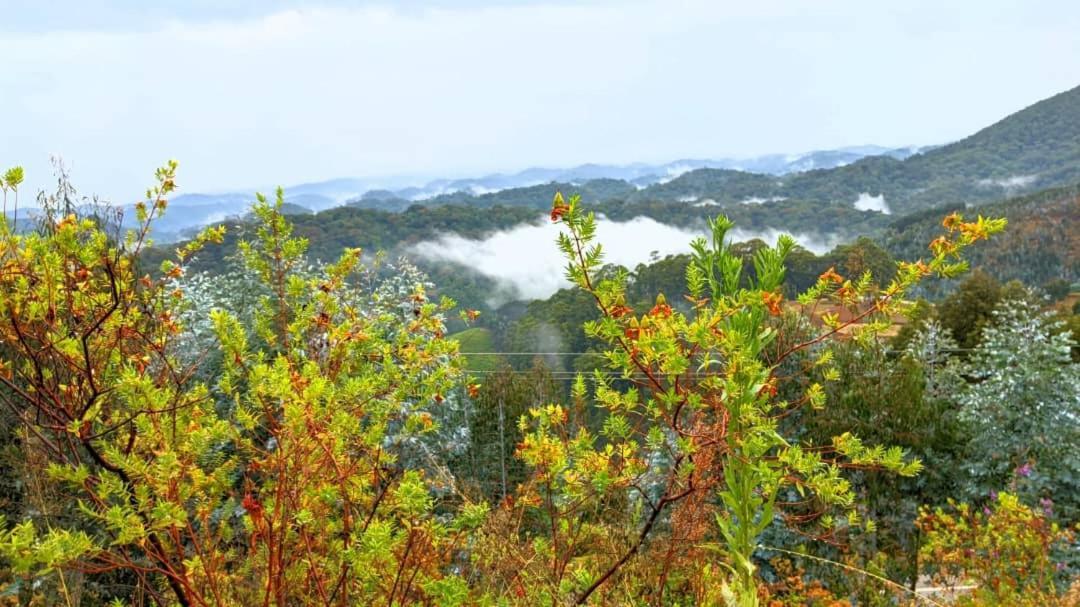 Nyungwe Village Kitabi Esterno foto