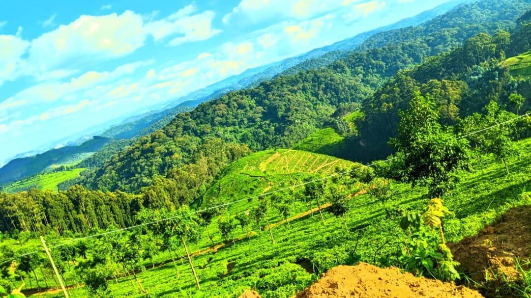 Nyungwe Village Kitabi Esterno foto